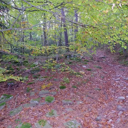 Haute-loire, Saint-etienne-lardeyrol, Au Pied Des Huches *