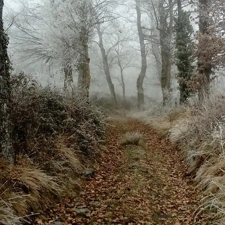 Haute-loire, Saint-etienne-lardeyrol, Au Pied Des Huches * Saint-Etienne-Lardeyrol