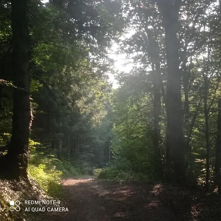 Haute-loire, Saint-etienne-lardeyrol, Au Pied Des Huches Saint-Etienne-Lardeyrol